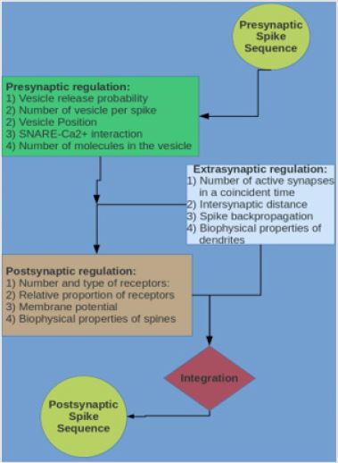biomedres-openaccess-journal-bjstr