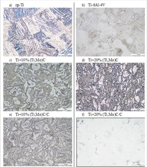 biomedres-openaccess-journal-bjstr