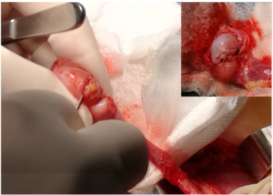 biomedres-openaccess-journal-bjstr