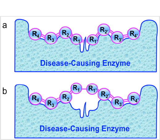 biomedres-openaccess-journal-bjstr