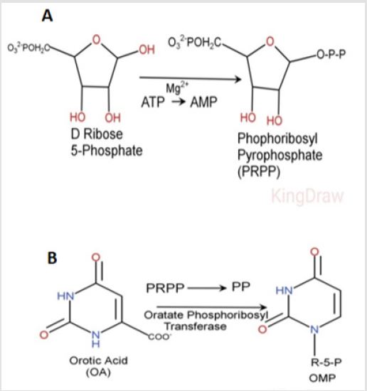 biomedres-openaccess-journal-bjstr