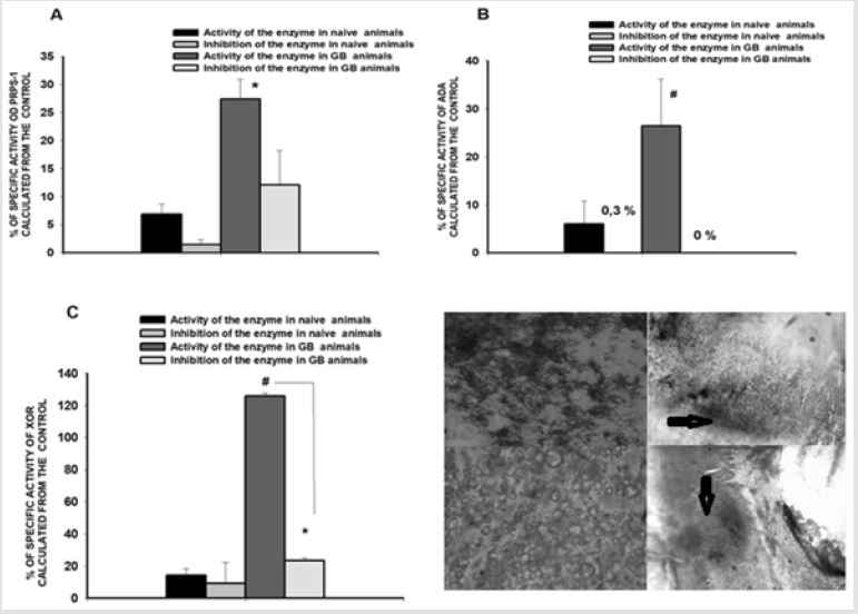 biomedres-openaccess-journal-bjstr