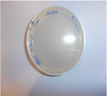 biomedres-openaccess-journal-bjstr