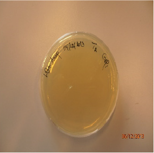 biomedres-openaccess-journal-bjstr