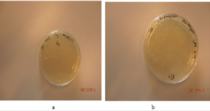biomedres-openaccess-journal-bjstr