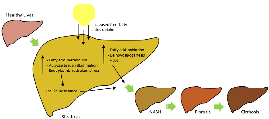 biomedres-openaccess-journal-bjstr
