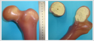 biomedres-openaccess-journal-bjstr