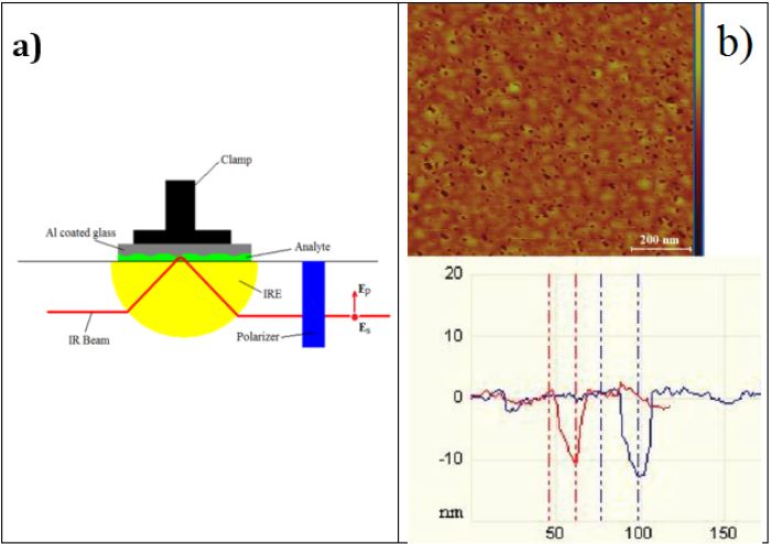biomedres-openaccess-journal-bjstr