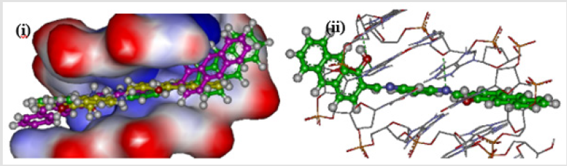 biomedres-openaccess-journal-bjstr