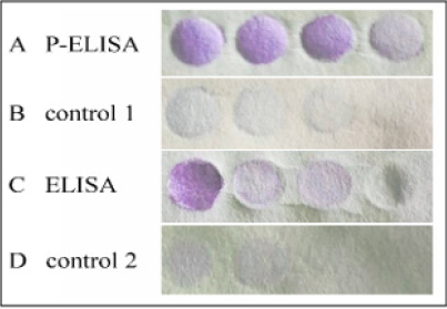 biomedres-openaccess-journal-bjstr