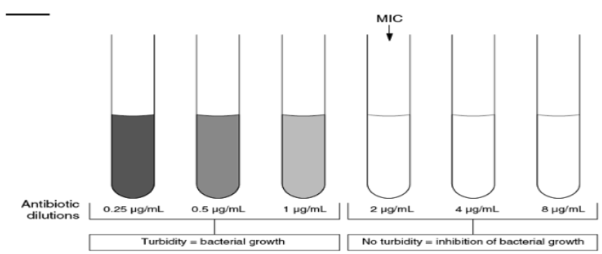 biomedres-openaccess-journal-bjstr