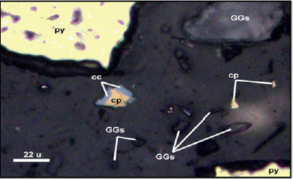 biomedres-openaccess-journal-bjstr