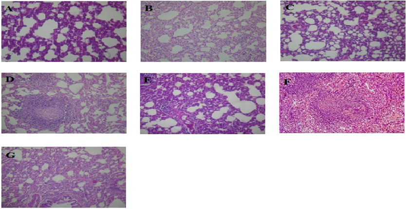 biomedres-openaccess-journal-bjstr