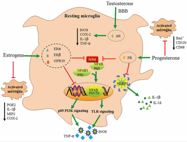 biomedres-openaccess-journal-bjstr