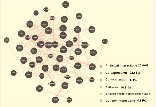 biomedres-openaccess-journal-bjstr