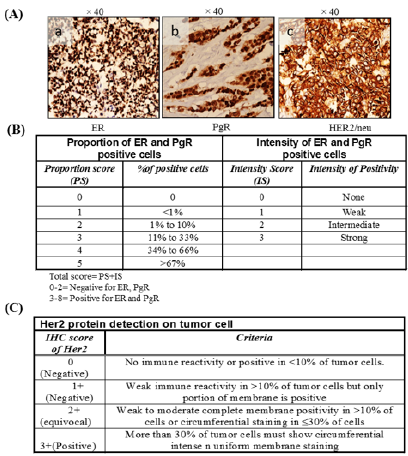biomedres-openaccess-journal-bjstr