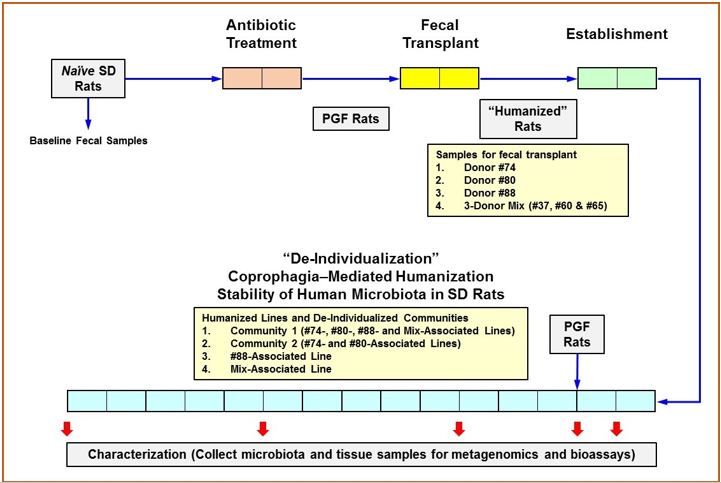 biomedres-openaccess-journal-bjstr