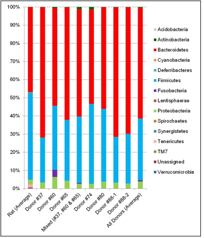 biomedres-openaccess-journal-bjstr