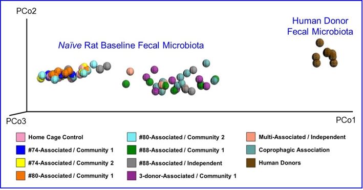 biomedres-openaccess-journal-bjstr