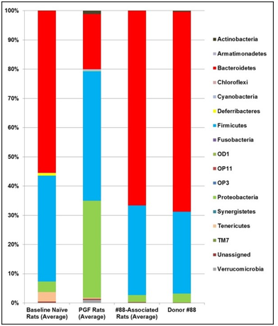 biomedres-openaccess-journal-bjstr