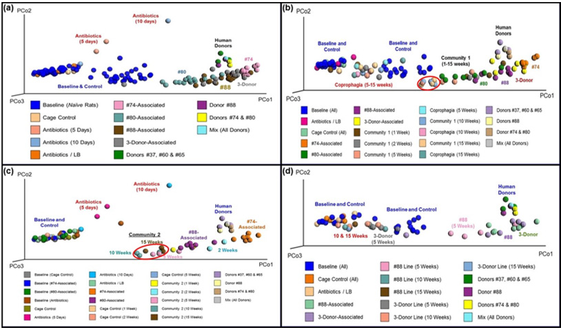 biomedres-openaccess-journal-bjstr