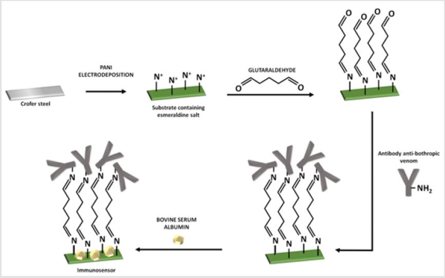 biomedres-openaccess-journal-bjstr