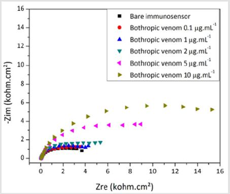 biomedres-openaccess-journal-bjstr