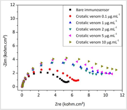 biomedres-openaccess-journal-bjstr