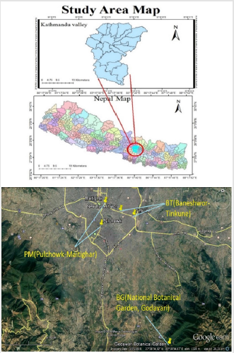 biomedres-openaccess-journal-bjstr