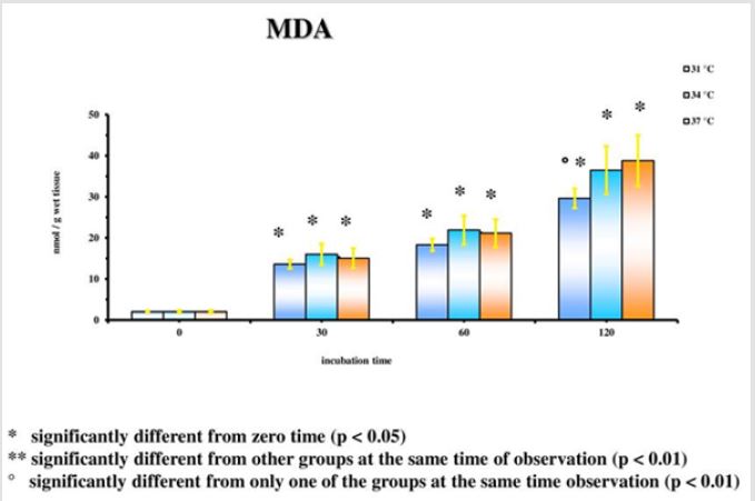 biomedres-openaccess-journal-bjstr