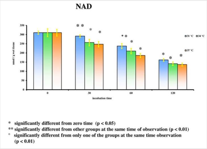 biomedres-openaccess-journal-bjstr