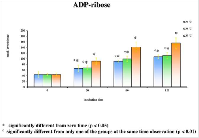 biomedres-openaccess-journal-bjstr