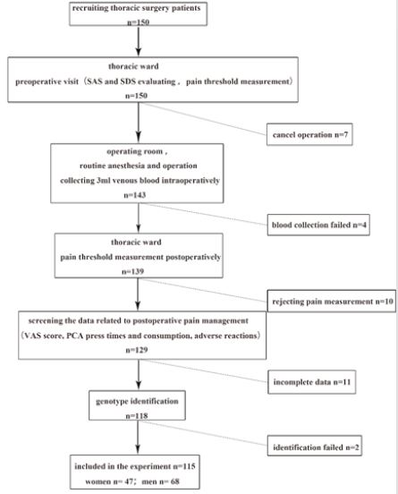 biomedres-openaccess-journal-bjstr