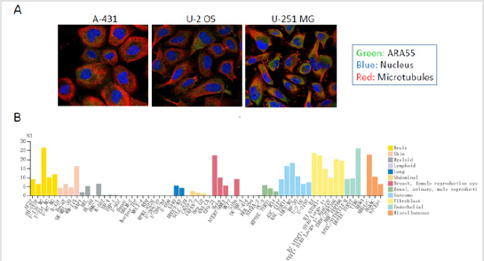 biomedres-openaccess-journal-bjstr