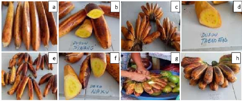 biomedres-openaccess-journal-bjstr