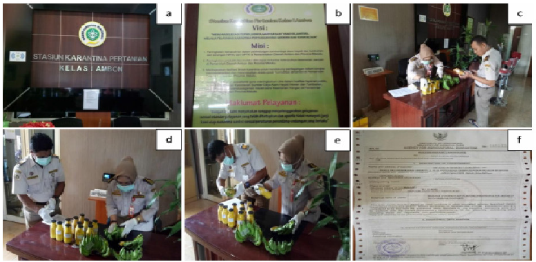 biomedres-openaccess-journal-bjstr