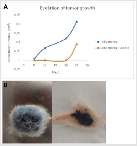 biomedres-openaccess-journal-bjstr