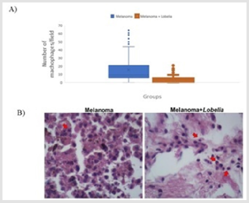 biomedres-openaccess-journal-bjstr