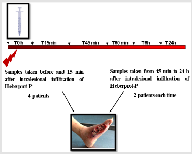 biomedres-openaccess-journal-bjstr