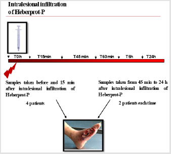 biomedres-openaccess-journal-bjstr