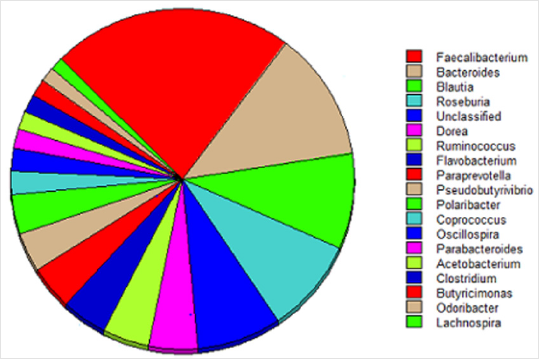 biomedres-openaccess-journal-bjstr