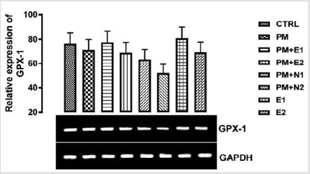 biomedres-openaccess-journal-bjstr
