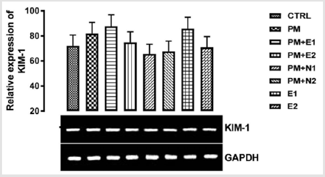 biomedres-openaccess-journal-bjstr