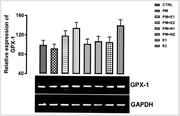 biomedres-openaccess-journal-bjstr