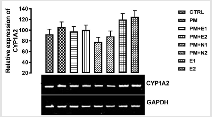 biomedres-openaccess-journal-bjstr