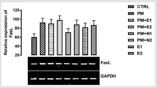 biomedres-openaccess-journal-bjstr