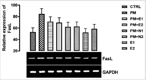 biomedres-openaccess-journal-bjstr