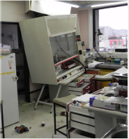 biomedres-openaccess-journal-bjstr