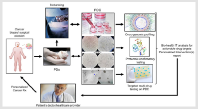 biomedres-openaccess-journal-bjstr