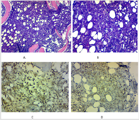 biomedres-openaccess-journal-bjstr